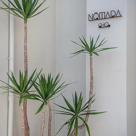 Nomada Chania Appartamento *